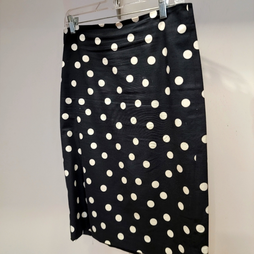 Ann Toylor dressy skirt